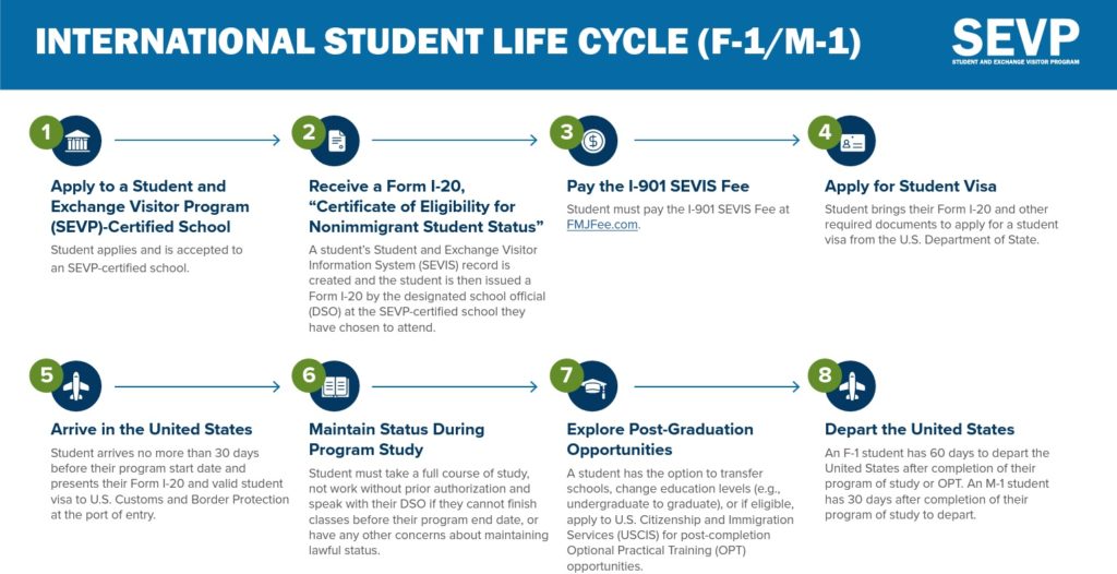SEVP International Student Life Cycle flowchart showing eight steps for F-1 and M-1 visa holders from school application to departure